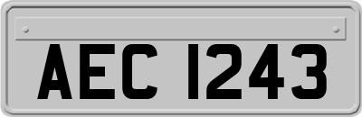 AEC1243