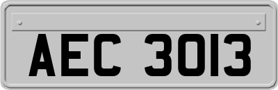 AEC3013