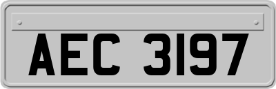 AEC3197