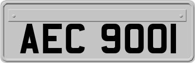 AEC9001