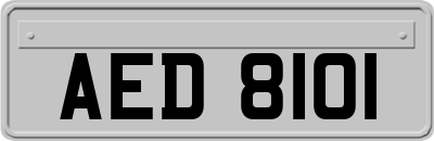 AED8101