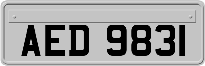 AED9831