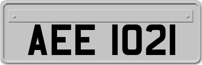 AEE1021