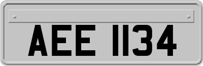 AEE1134