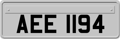 AEE1194