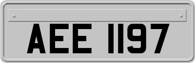 AEE1197