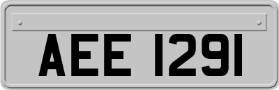 AEE1291