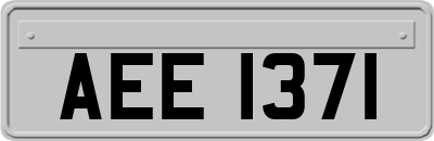 AEE1371