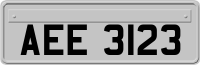 AEE3123