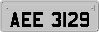 AEE3129