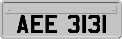 AEE3131