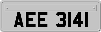 AEE3141