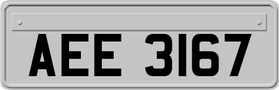 AEE3167