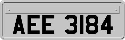 AEE3184