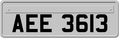 AEE3613