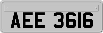 AEE3616