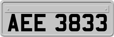 AEE3833