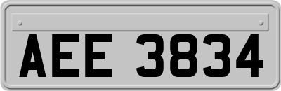 AEE3834