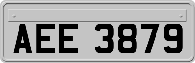 AEE3879