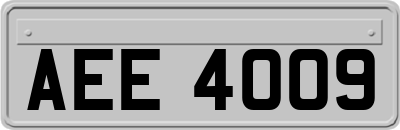 AEE4009