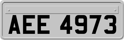 AEE4973