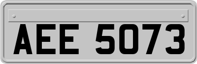 AEE5073