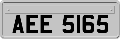 AEE5165