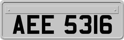 AEE5316