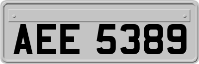 AEE5389