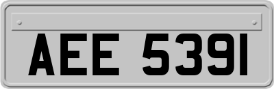 AEE5391