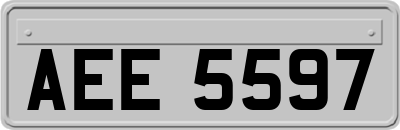 AEE5597