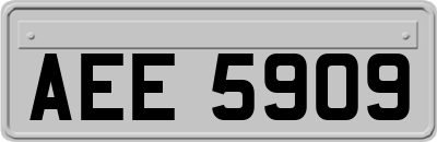 AEE5909