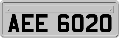 AEE6020