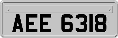 AEE6318