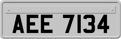AEE7134