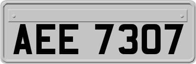 AEE7307