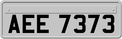 AEE7373