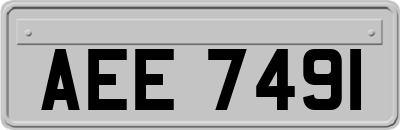 AEE7491