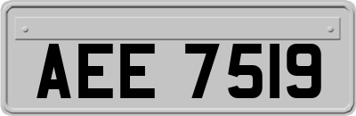 AEE7519