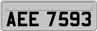 AEE7593