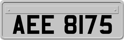AEE8175