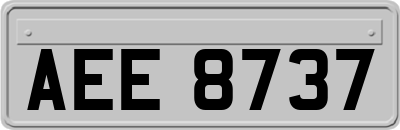 AEE8737