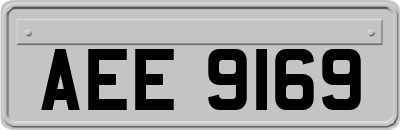 AEE9169