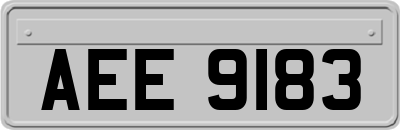 AEE9183