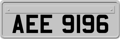 AEE9196