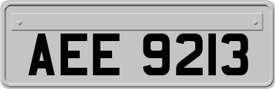 AEE9213