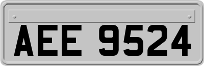 AEE9524
