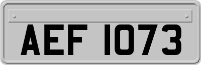 AEF1073