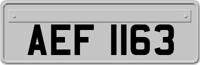 AEF1163
