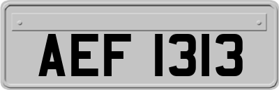 AEF1313